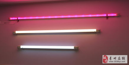 點亮綠色未來 LED節(jié)能燈與環(huán)保裝飾材料的批發(fā)與零售新趨勢